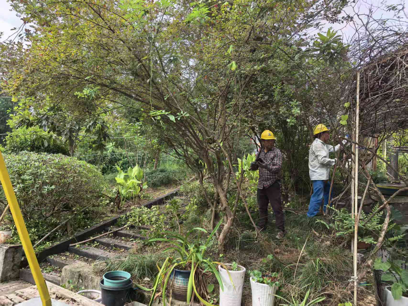 6b76e7c508afdfbc771d840e755bafbf.jpg 6b76e7c508afdfbc771d840e755bafbf.jpg